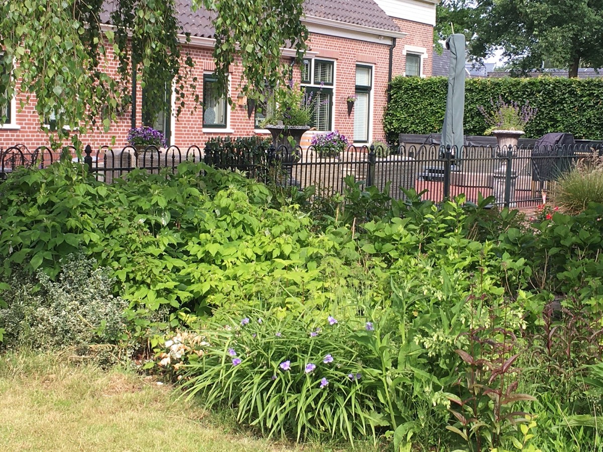 Retraite in Nieuw-Buinen